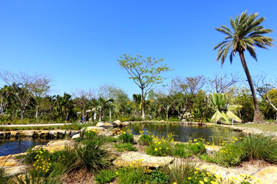 Lake - Naples Botanical Garden - Naples, Florida - DSC09954