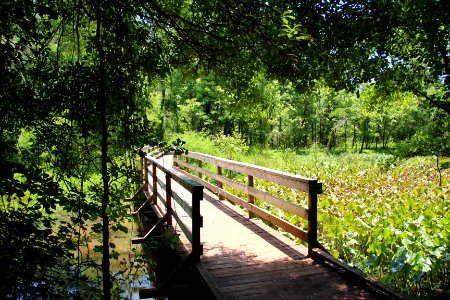Lake Conestee Nature Park boardwalk, June 2019