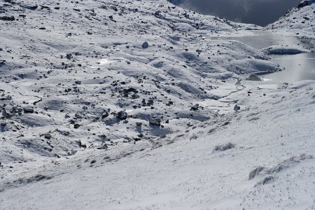 Lake Albina, Main Range Track, Kosciuszko National Park 15