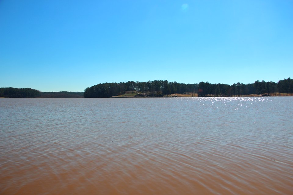Lake Acworth, Feb 2020