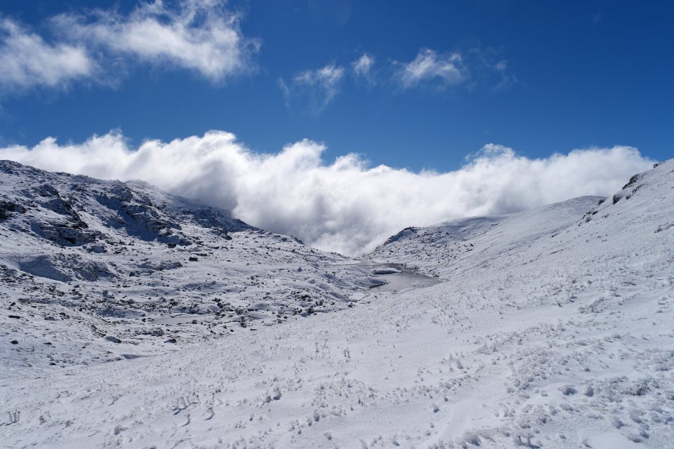 Lake Albina, Main Range Track, Kosciuszko National Park 09