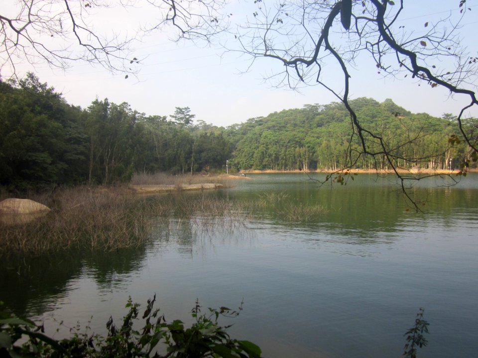 Laiwushan Reservoir13