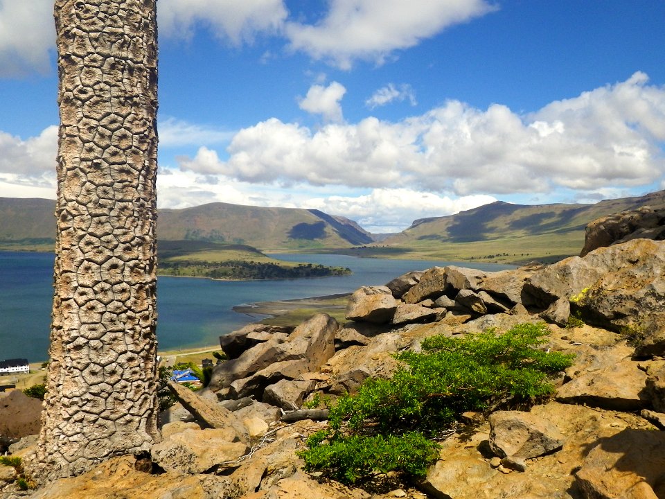 Lago Caviahue from Caviahue