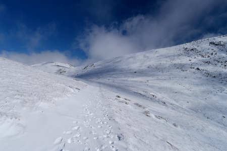 Lake Albina, Main Range Track, Kosciuszko National Park 16