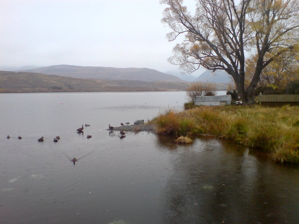 Lake Alexandrina Shores, Eastern Side