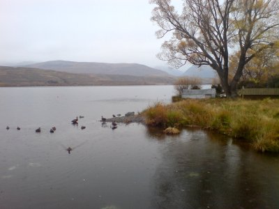 Lake Alexandrina Shores, Eastern Side