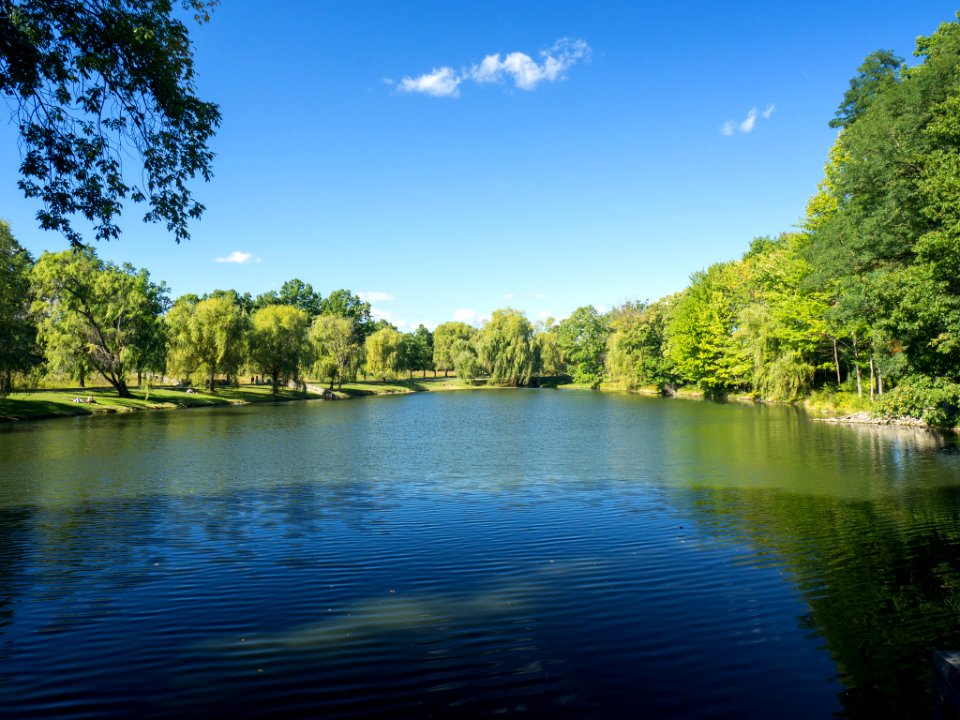 Lake (196975089)