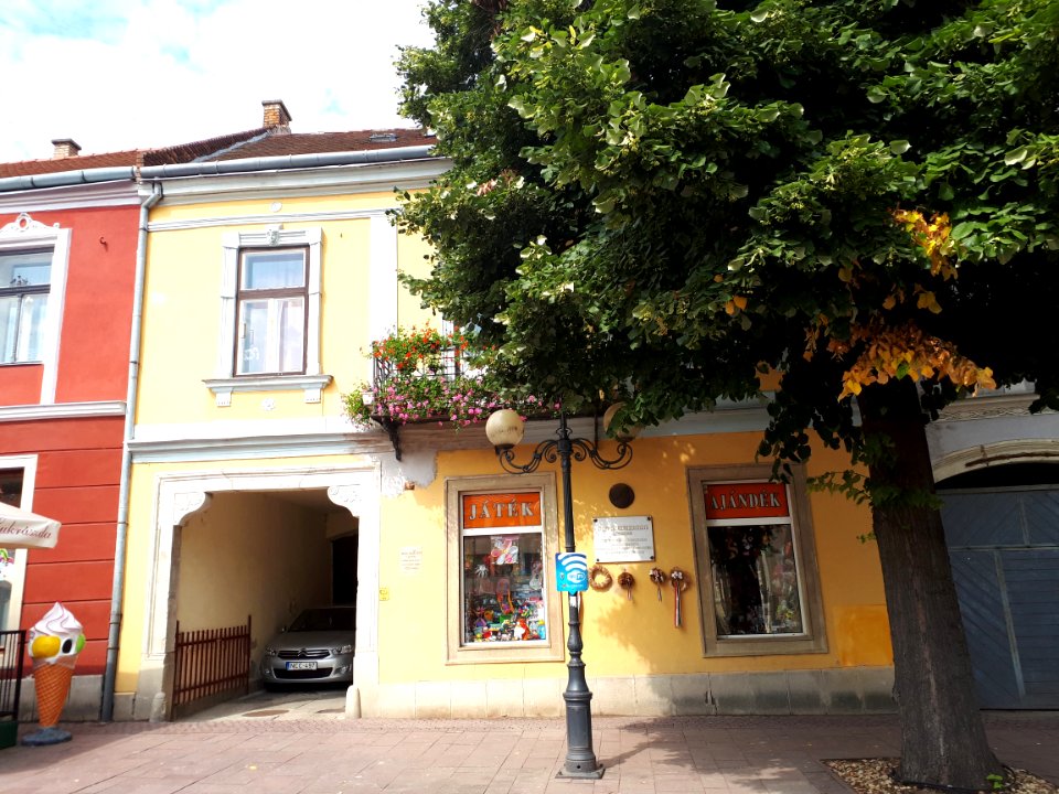 Lakóház Sátoraljaújhelyen (3152. számú műemlék)