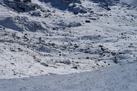 Lake Albina, Main Range Track, Kosciuszko National Park 11