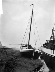 Lage waterstand in de Waal bij Nijmegen, schepen liggen droog aan de walkant, Bestanddeelnr 910-8684