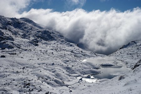 Lake Albina, Main Range Track, Kosciuszko National Park 18