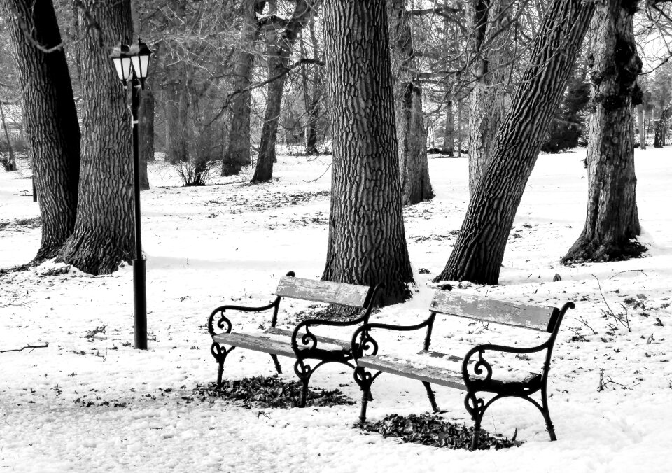 Snow serenity january