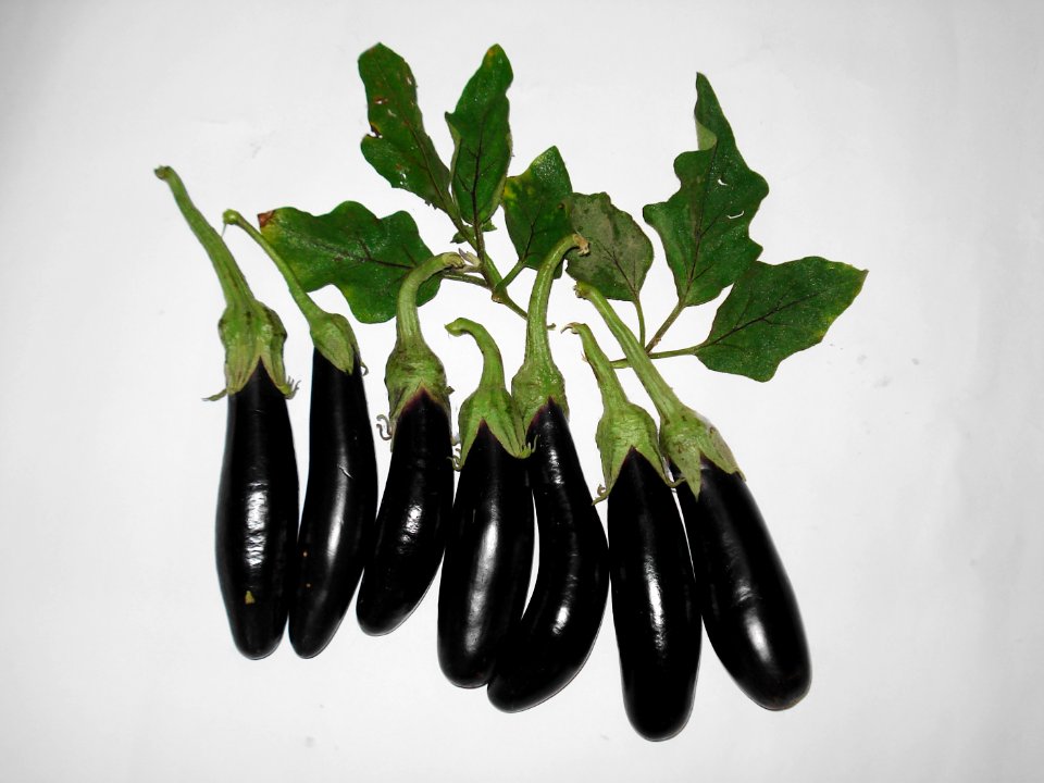 Lambay Baingan (Aubergine)
