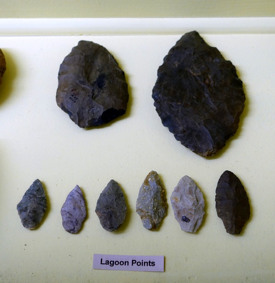 Lagoon points - Early Woodland collection - Robbins Museum - Middleborough, Massachusetts - DSC03826