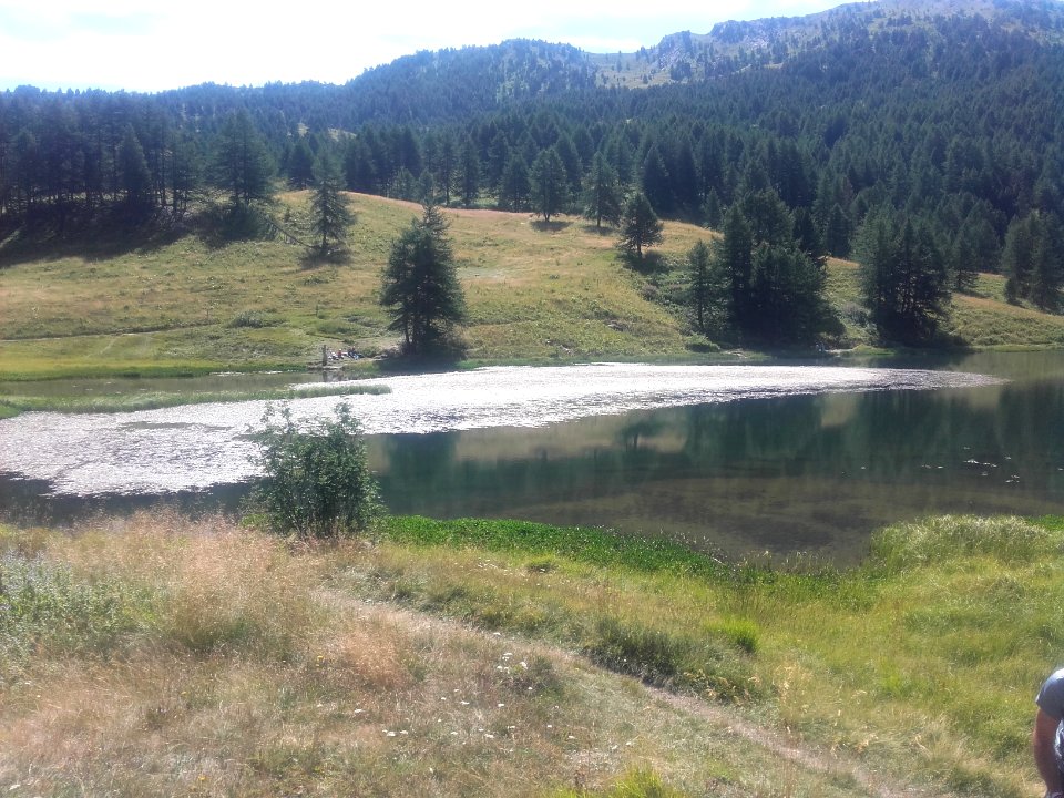 Lago Nero, aout 2019 02