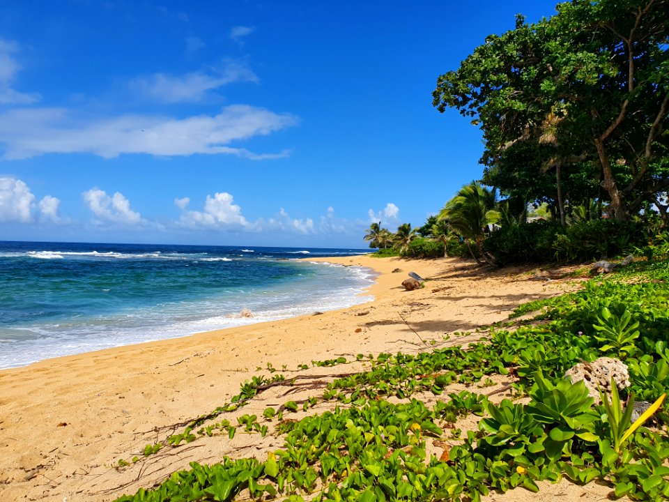 Laeokaʻōnohi