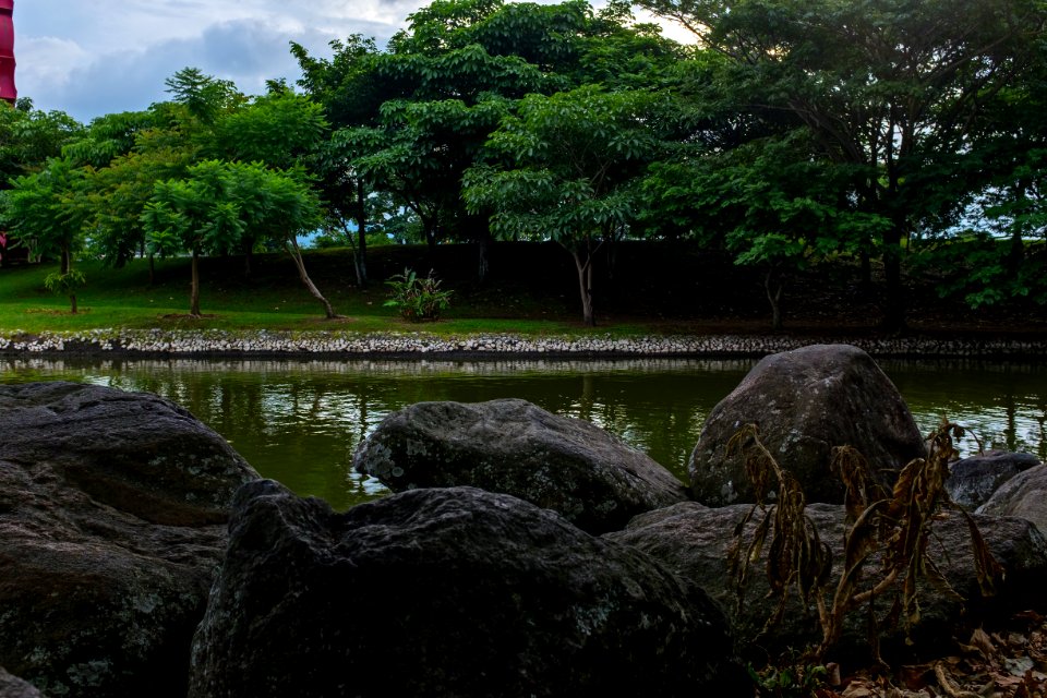 Lago de parque de la paz