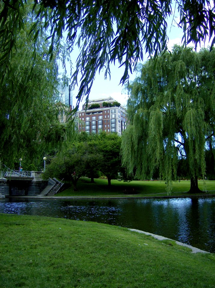 Lagoon, Boston Public Garden, 2012-06-28