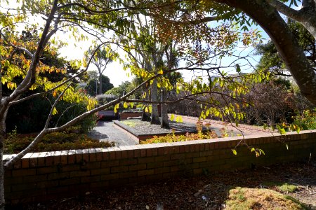 Lady McKenzie Garden for the Blind - Seating area