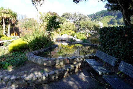 Lady McKenzie Garden for the Blind - Pool