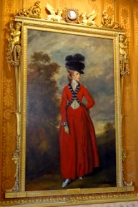 Lady Worsely by Sir Joshua Reynolds, c. 1779, oil on canvas - Cinnamon Drawing Room - Harewood House - West Yorkshire, England - DSC01937