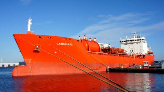 Laguna D, IMO 9192375 at the Hornhaven, Port of Amsterdam