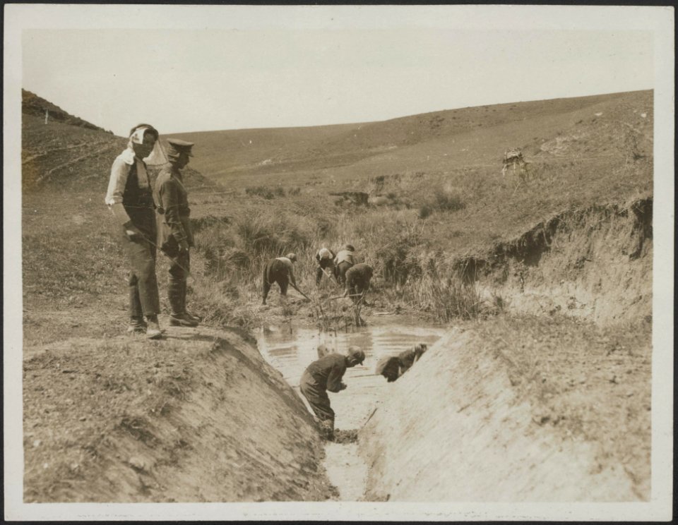 Labour battalions at work on the great Daubatali marshes draining the land to pr, Bestanddeelnr 158-2503
