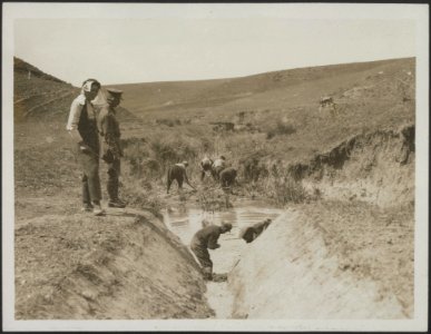 Labour battalions at work on the great Daubatali marshes draining the land to pr, Bestanddeelnr 158-2503