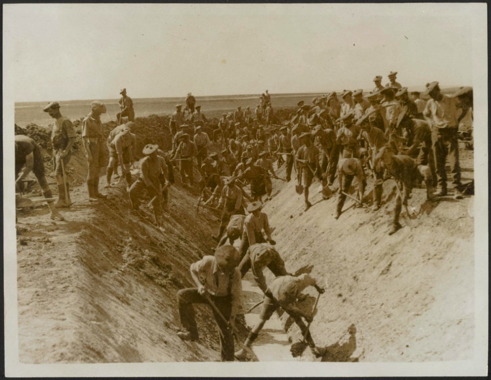 Labour battalions at work on the great Daubatali marshes draining the land to pr, Bestanddeelnr 158-2502