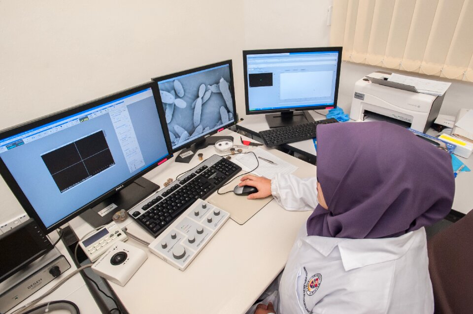 Scanning electron microscope universiti malaysia sabah biotechnology research institute