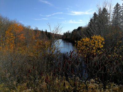 Lac Bel Air