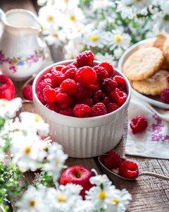 Berries of a raspberry summer garden photo