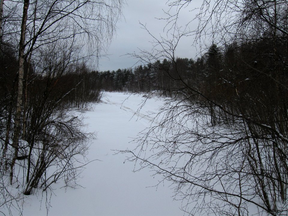 Laholaisoja Oulu