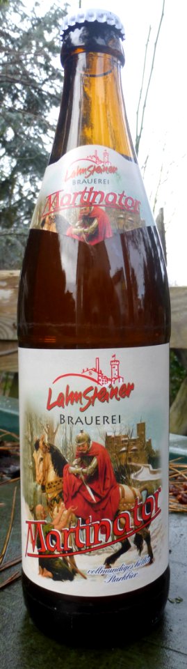 LahnsteinerMartinator