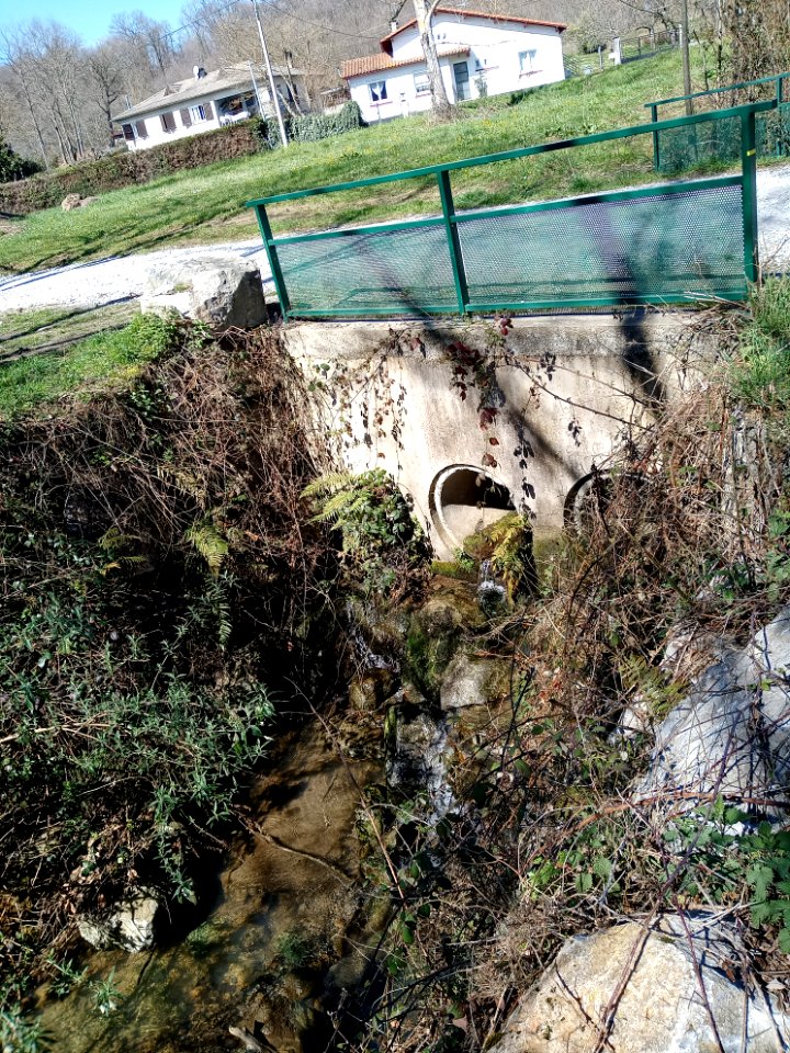 Lac de Montréjeau 13