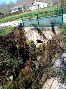 Lac de Montréjeau 13