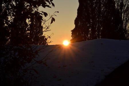 Winter sun snow frosty