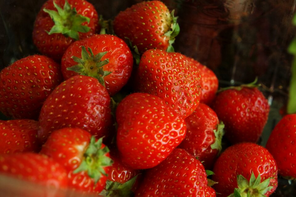 Fresh healthy organic