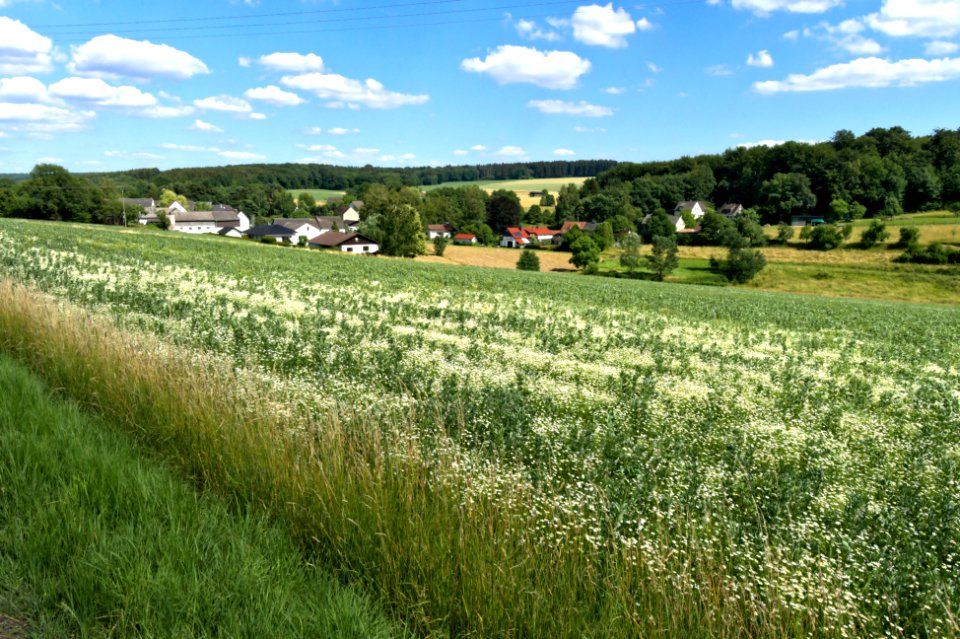 Lahrbach View (02)