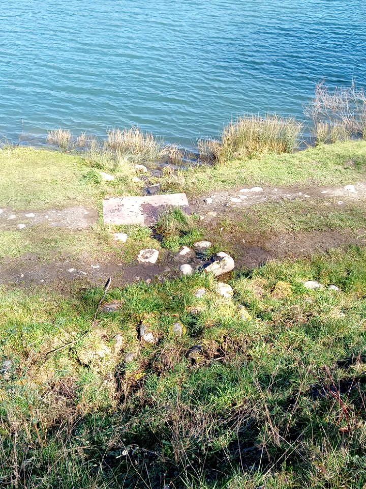 Lac de Montréjeau 11