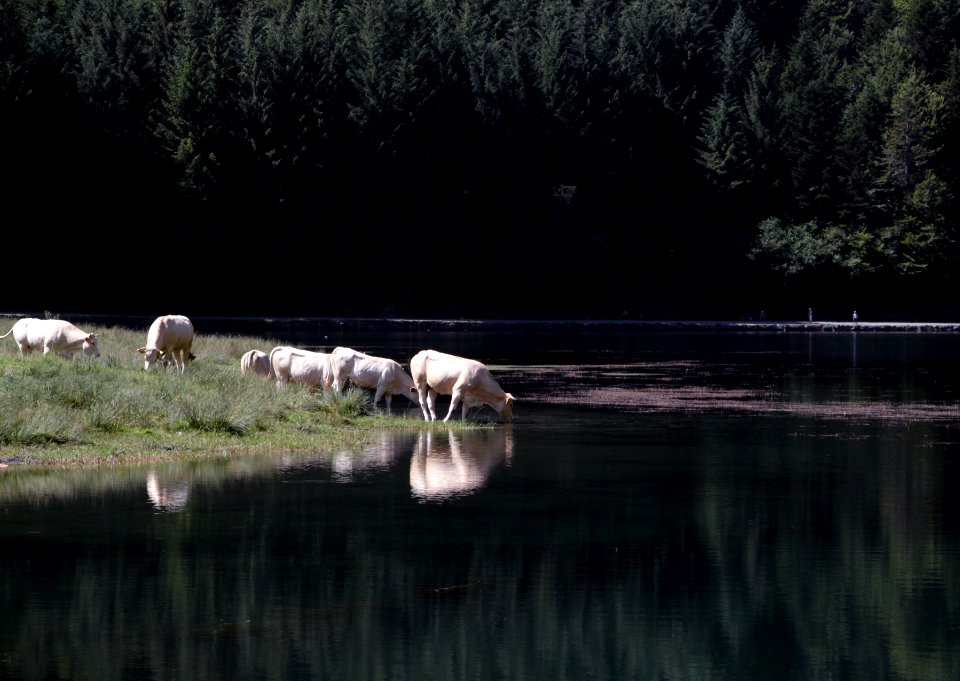 Lac d'Estaing 30072018 05