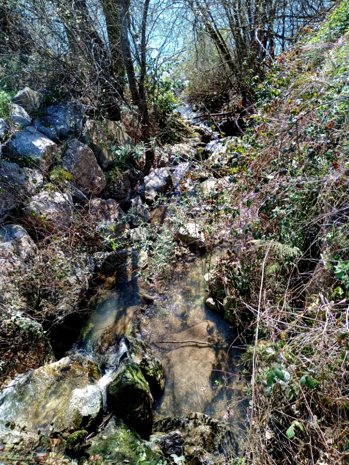 Lac de Montréjeau 12