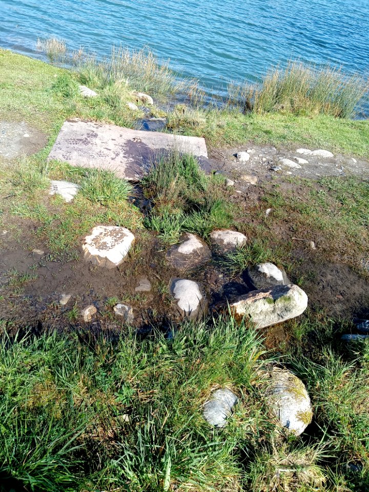 Lac de Montréjeau 10