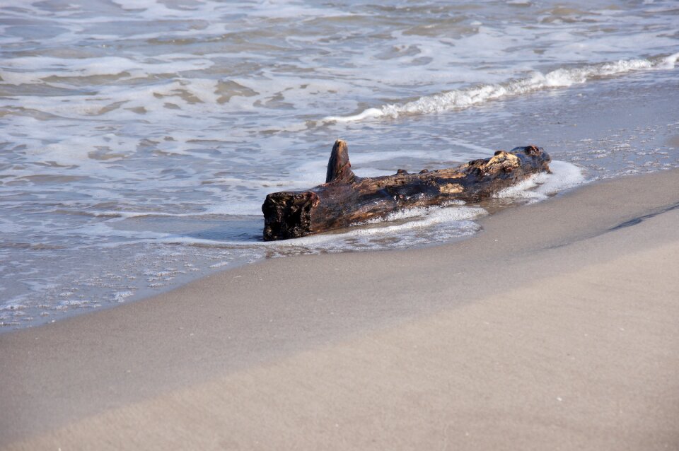 Log water sand