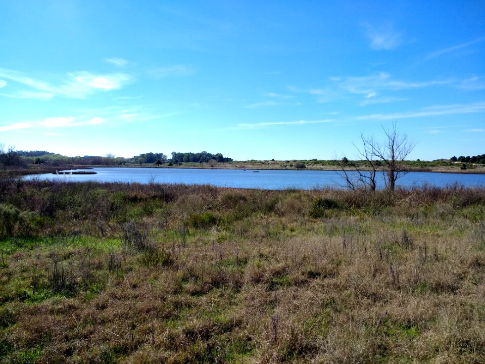Laguna de los Patos - Uruguay
