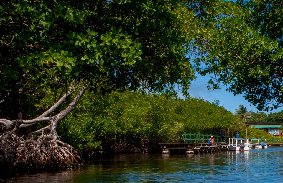 Laguna de La Restinga National Park
