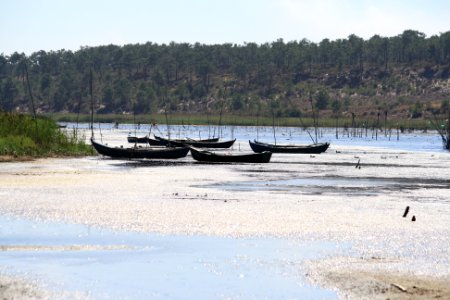 Lagune standre12