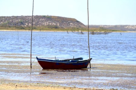 Lagune standre11
