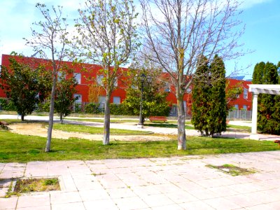 Laguna de Duero - Plaza Eras 5