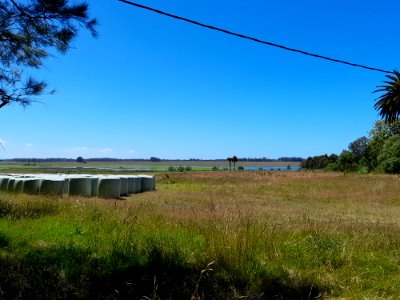 Laguna del Cisne vista desde la calle Chajá, 1